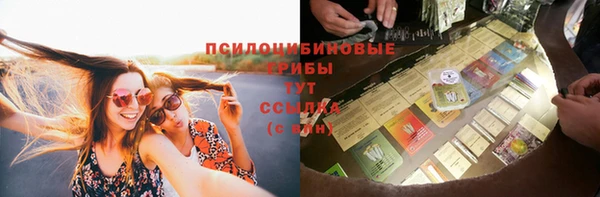 молекула духа Лагань