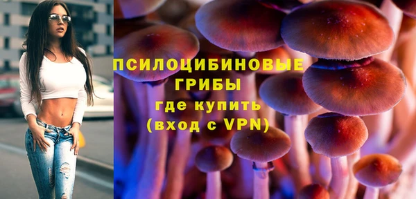 Альфа ПВП Ладушкин