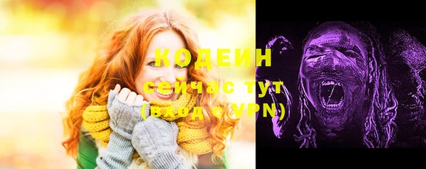 молекула духа Лагань