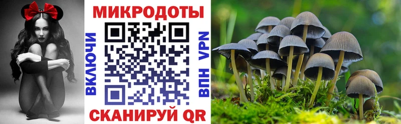 Галлюциногенные грибы мухоморы  Мезень 